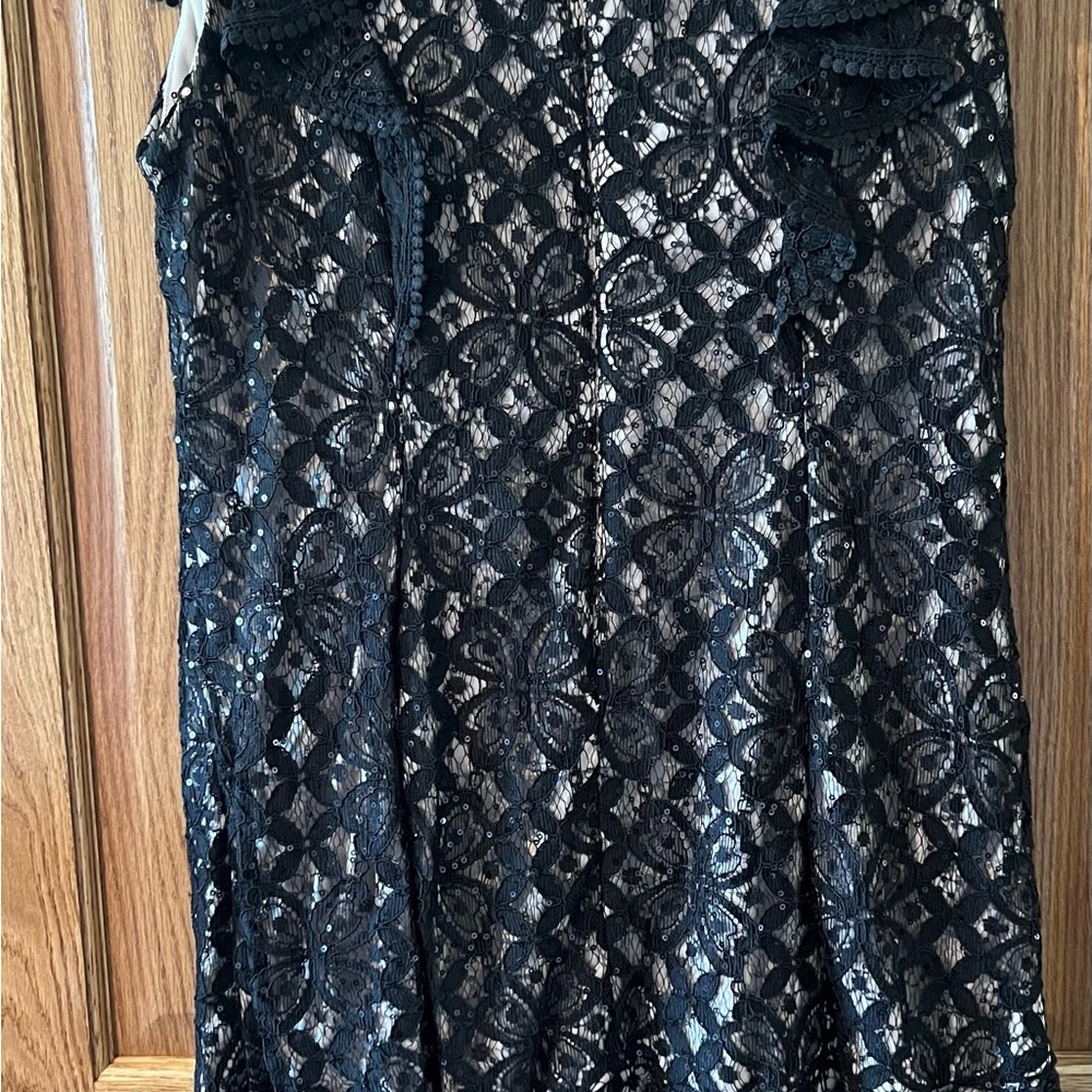 Elegant Black Lace Skirt